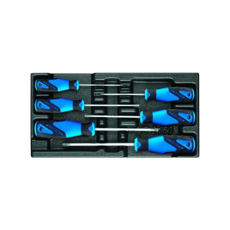 Gedore 1616625 Screwdiver set in 1/3 ES tool module